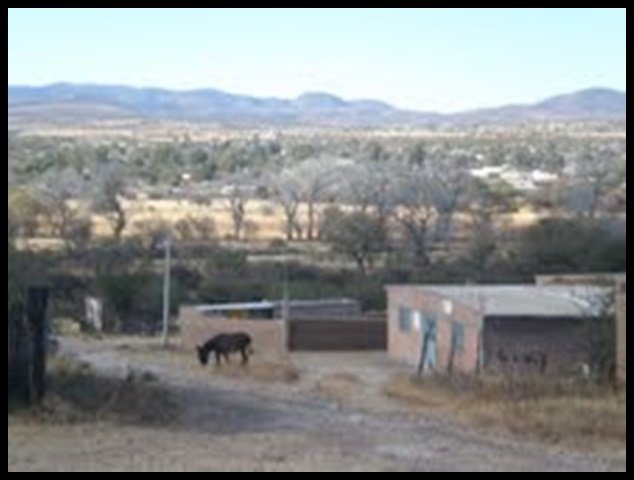 Calles y Colonias